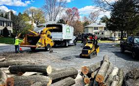 Best Commercial Tree Services  in Brooklyn, NY